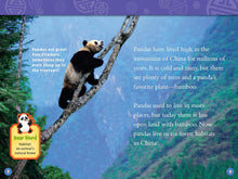 Load image into Gallery viewer, National Geographic Readers: Level 2 - Pandas - Paperback