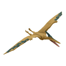 Load image into Gallery viewer, Jurassic World: Dominion Basic 12-Inch Action Figure: Pteranodon
