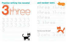 Load image into Gallery viewer, Chicka Chicka Boom Boom Learn to Write Workbook for Preschoolers by Bill Martin Jr: Paperback; 96 pages / English
