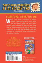 Load image into Gallery viewer, Flat Stanley&#39;s Worldwide Adventures #6: The African Safari Discovery - Paperback
