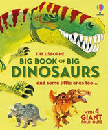Big Book Of Big Dinosaurs: Usborne