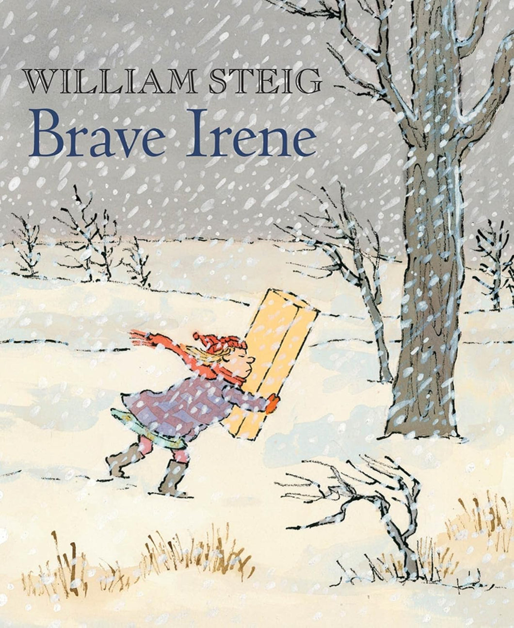Brave Irene-Paperback