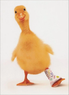 Duck Heal Better Soon Card