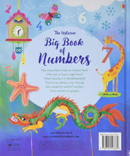 Load image into Gallery viewer, Usborne My Big Book Of Numbers
