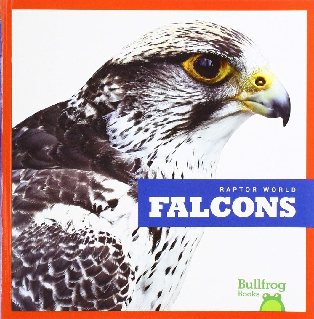 Falcons - Paperback