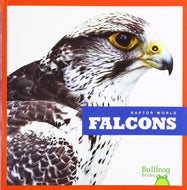 Falcons - Paperback