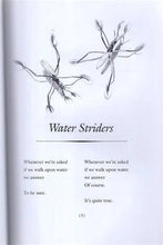 Load image into Gallery viewer, Joyful Noise: Poems for Two Voices - Paperback
