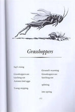 Load image into Gallery viewer, Joyful Noise: Poems for Two Voices - Paperback
