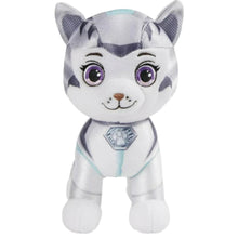 Load image into Gallery viewer, PAW Patrol Cat Pack 8&#39;&#39; Rory Cat
