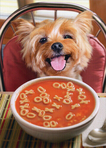 Dog Get well soon Card