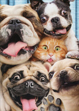 Load image into Gallery viewer, Dog &amp; Cat Pop Up Birthday Card
