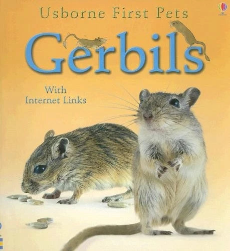 Gerbils (Usborne First Pets) - Paperback