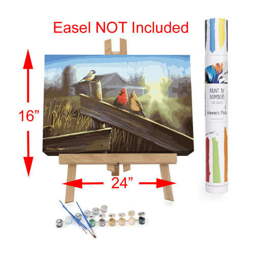 Adult Paint By Numbers Acrylic Set Morning Song