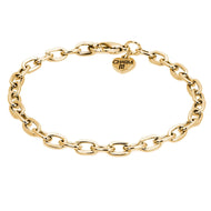 Charm It!- Gold Chain Bracelet