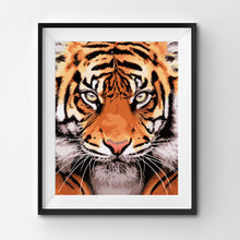 Load image into Gallery viewer, Adult Paint By Numbers Acrylic Set Tiger Face
