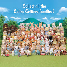 Load image into Gallery viewer, Calico Critters Splashy Otter Family
