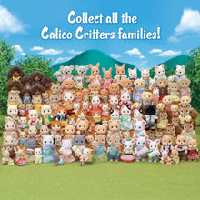 Load image into Gallery viewer, Calico Critters Persian Cat Family
