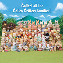 Load image into Gallery viewer, Calico Critters Pickleweeds Hedgehog Family
